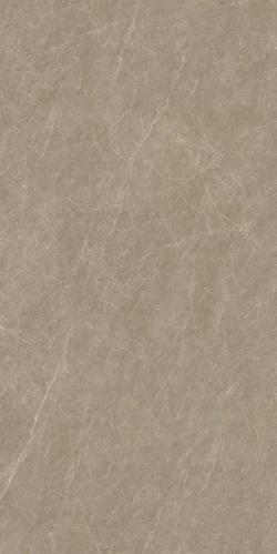 TM18179 索菲亚黄