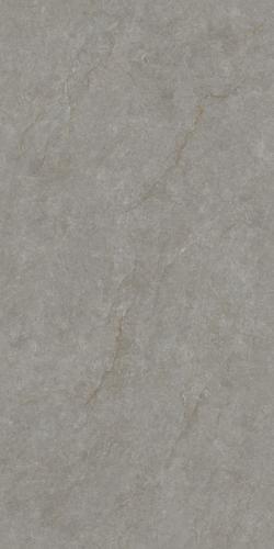 T75CM169M 柏拉图灰