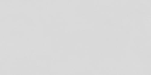 T75JP175 繁花系列·兰