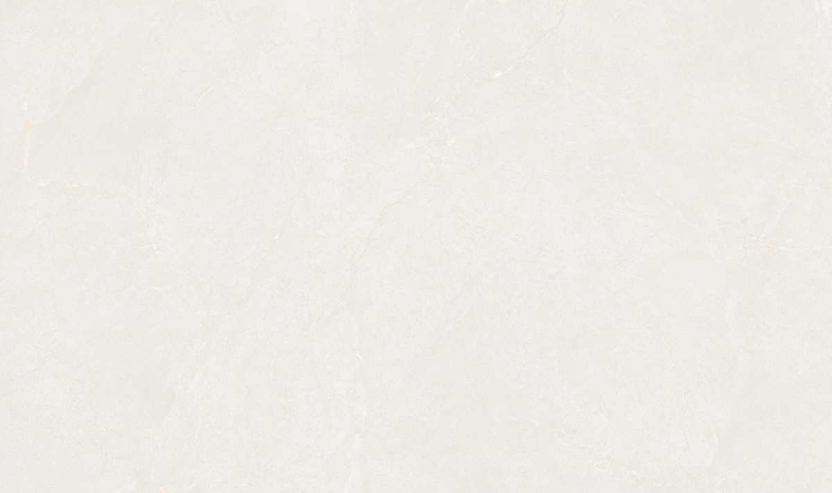 T835JP106 普拉灰.jpg